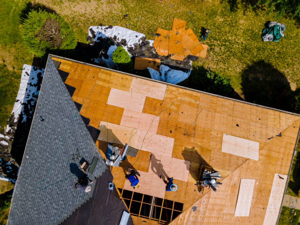 Reliable Murillo, TX Roofing Contractor Solutions