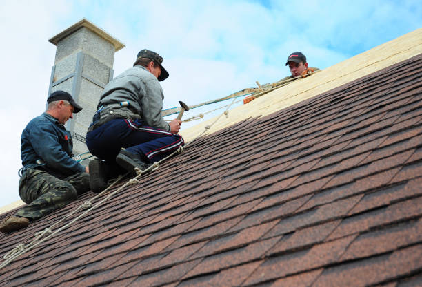 Best Metal Roofing Contractor  in Murillo, TX