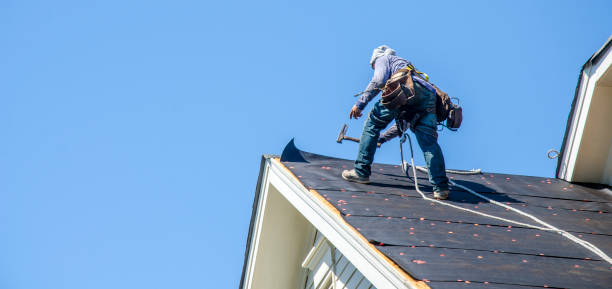 Best Gutter Installation and Roofing  in Murillo, TX